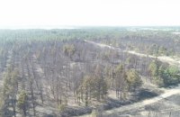 Спасатели на 9-й день погасили пожары в Луганской области