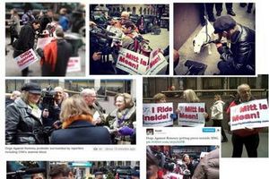 Защитники прав собак выступили против кандидата в президенты США