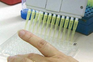 Страна победившей здравый смысл демократии
