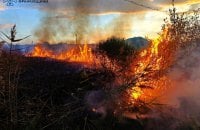 На Прикарпатті під час гасіння пожежі сухостою знайшли тіло жінки