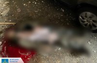 У Торецьку троє чоловіків загинули від ворожого авіанальоту (оновлено)