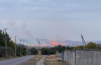 В Донецкой области вспыхнул масштабный лесной пожар