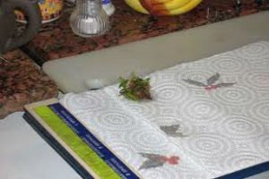 Бумажные полотенца опасны для здоровья, - ученые