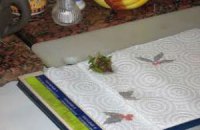 Бумажные полотенца опасны для здоровья, - ученые