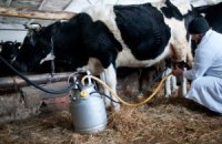 В Кабмине продолжают фиксировать рост производства сельхозпродукции