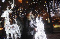 Новый год обойдется Украине в 30 млн грн