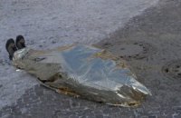 В Берлине художник провел перформанс в поддержку Майдана
