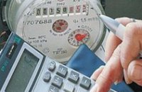 Снизить потребление газа можно лишь обвалив всю экономику, - мнение