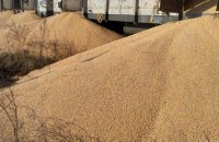 IPF: експорт агропродукції з України суттєво не впливає на зменшення цін на зерно в Польщі