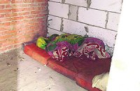 Милиция нашла барак, где полтора месяца прятался Мазурок