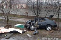 У Житомирській області у ДТП загинули однорічна дитина і троє дорослих