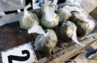 В Николаевской области мужчина, у которого нашли марихуану, заявил, что кормил ею пчел