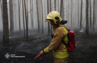 Головне за п’ятницю, 8 травня: триденний режим тиші, 200 боєзіткнень, лісові пожежі  
