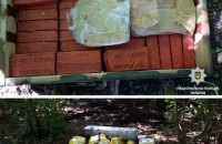 Искатель металлолома нашел в лесополосе на Днепропетровщине склад боеприпасов