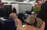 В Интерсити+ Киев-Львов неизвестные камнем разбили окно, у которого сидела Руслана