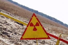 Азаровцы решили, что земли Чернобыля пора засевать