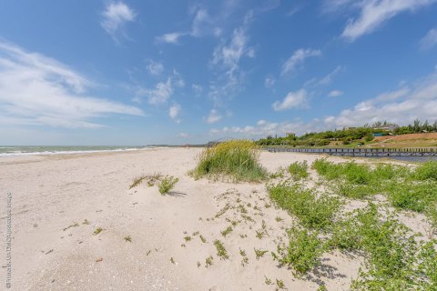 Азовське море: в мережі запустили нові веб-камери на маловідомих курортах