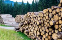 Арбітри визнали, що Україна має право обмежувати експорт лісу за певних обставин