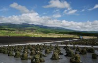 Японія внесла війну Росії проти України в доповідь про загрози національній безпеці