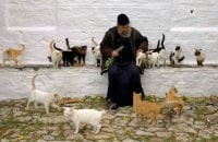 Коти Господні. Чи є у тварин душа?