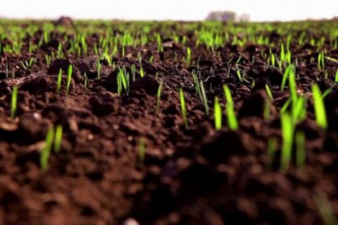 Аграрії Волині розпочали весняно-польові роботи