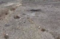Вибухотехніки виявили мінне поле на Харківщині