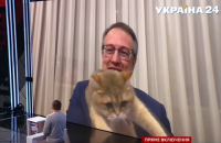 Кот Геращенко влез в кадр во время прямого включения