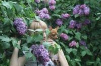 В ботсаду им.Гришко цветет сирень