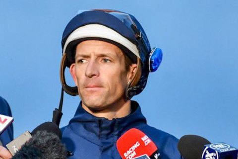 На престижных гонках жокей угробил чужого коня и чуть не убил конкурента