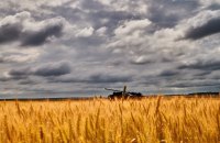 2023-й в текстах LB.ua: вибір читачів