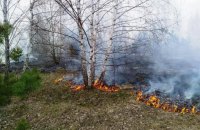 В Україні оголошено найвищий рівень пожежної небезпеки