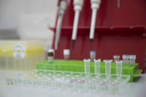 Словакия проверит все население на коронавирус
