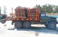 На Волыни селяне подрались с полицией из-за древесины