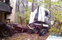 В Киеве грузовик снес несколько деревьев и перекрыл дорогу