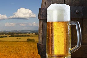 Пивовары и кондитеры возмутились законом о языках