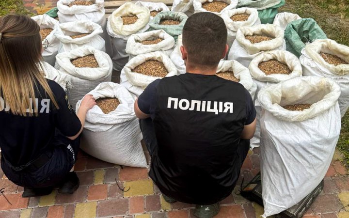 На Рівненщині викрили підпільний цех з обробки бурштину: вилучено каміння на понад мільйон гривень