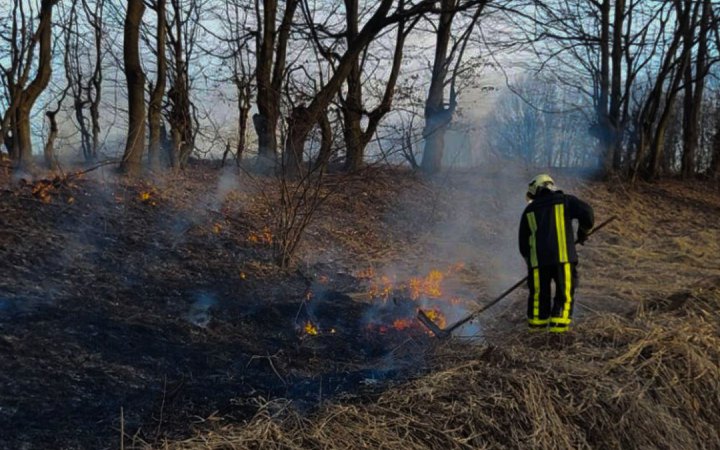 На Львівщині минулої доби вогонь знищив понад 2700 кв м сухостою – виникло 7 пожеж на відкритих територіях