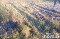 В Житомирской области мужчина погиб при взрыве снаряда на собственном участке