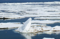 Берингово море осталось безо льда