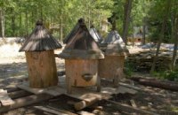 В Одесской области в пчелиных ульях нашли целый арсенал оружия 