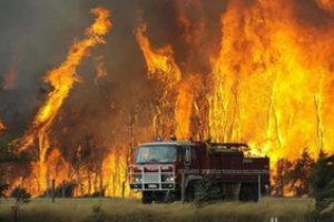 Остров Ибица охвачен пожарами, эвакуированы 700 туристов, пожарные не справляются