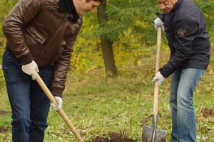 У Партии зеленых появилась фракция в Киевсовете