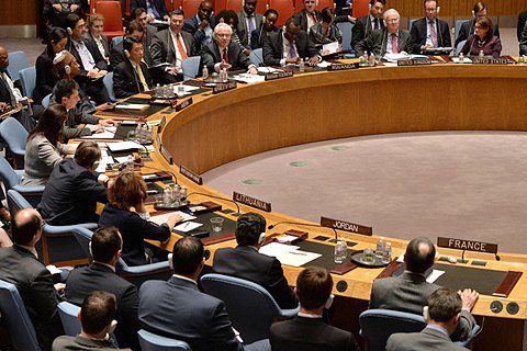 Шесть европейских стран после заседания Совбеза ООН выступили с заявлением в поддержку Украины