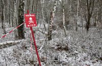 На Харківщині підліток підірвався на невідомій вибухівці