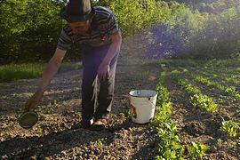 С/х земли обещают продавать только украинцам 