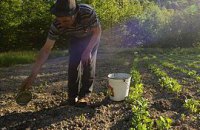 С/х земли обещают продавать только украинцам 