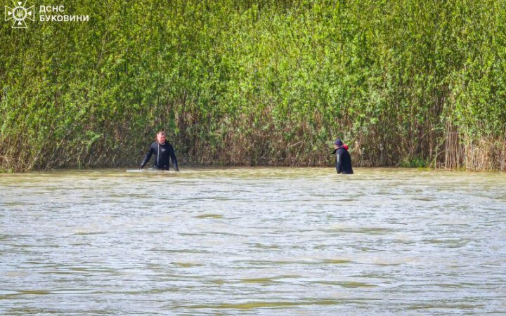 На водоймах України за тиждень загинули 14 людей, серед них дитина, – ДСНС