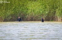 На водоймах України за тиждень загинули 14 людей, серед них дитина, – ДСНС