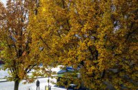 У середу в Києві до +15 градусів, без опадів