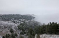 В четверг в Киеве похолодает до -1 градуса